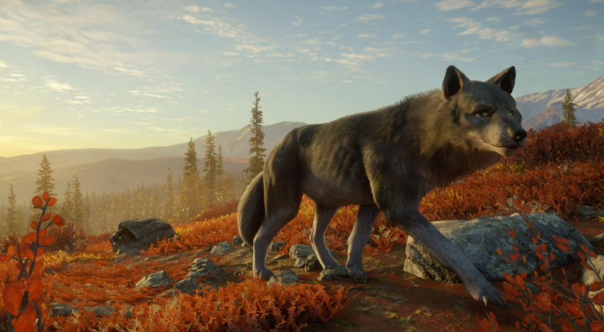 0631858ef5110ee49cc71e6c691a2377